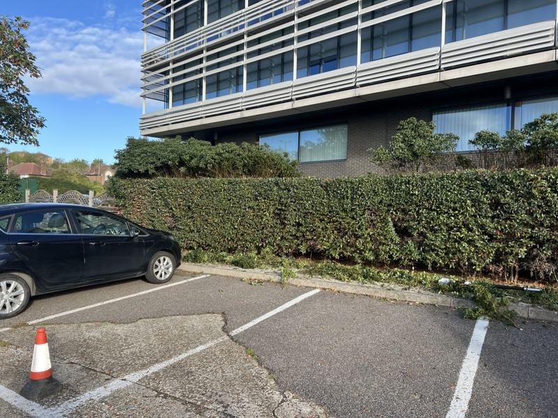 Overgrown, uneven hedge along a commercial car park, with clippings on the kerb