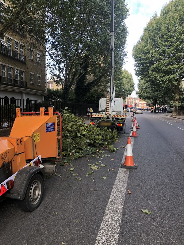 Orange wood chipper beside a pile of cut branches on a coned-off road, with the cherry picker behind